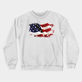 United States of America Crewneck Sweatshirt